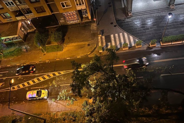 I u Sarajevo došlo nevrijeme, u Hrasnom vjetar oborio stablno. Na terenu policija i vatrogasci