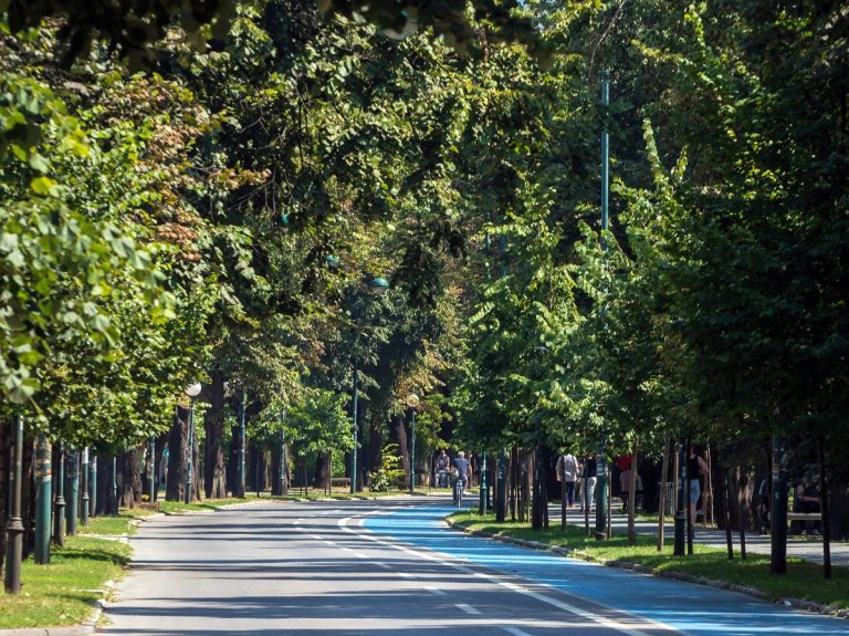 Izmjene i dopune Zakona upućene u proceduru: Vils bi mogao postati zaštićeno dobro baštine