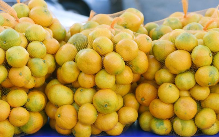 Zabranjen uvoz dvije tone mandarina iz Hrvatske u BiH zbog prisustva nedozvoljenog pesticida