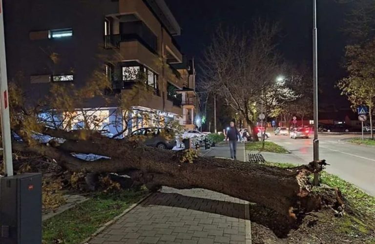 Haos u RS: Jak vjetar čupa stabla i ruši krovove. U Banjoj Luci drvo palo na sred trotoara